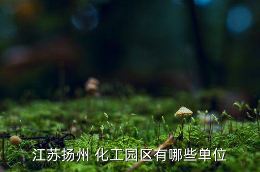 泰州東聯(lián)化工有限公司,江蘇泰州東聯(lián)化工有限公司招聘