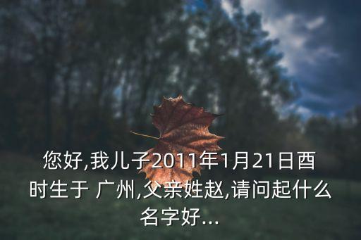 您好,我兒子2011年1月21日酉時生于 廣州,父親姓趙,請問起什么名字好...