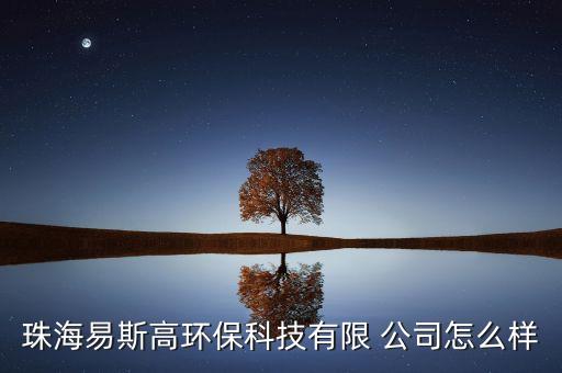 珠海易斯高環(huán)?？萍加邢?公司怎么樣