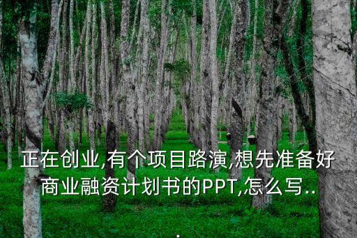 ppt投資人,投資成功案例ppt