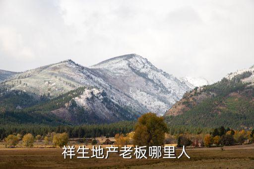 祥生地產(chǎn)老板哪里人