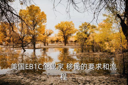 是美國(guó)公司的大股東可以移民嗎