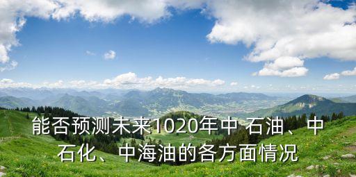 能否預(yù)測(cè)未來(lái)1020年中 石油、中石化、中海油的各方面情況