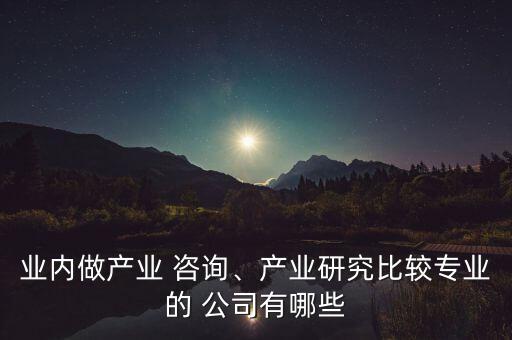 業(yè)內(nèi)做產(chǎn)業(yè) 咨詢、產(chǎn)業(yè)研究比較專業(yè)的 公司有哪些