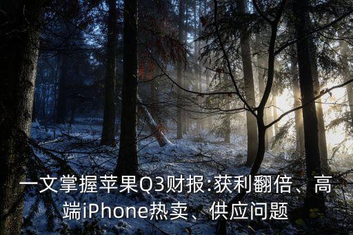 一文掌握蘋果Q3財(cái)報(bào):獲利翻倍、高端iPhone熱賣、供應(yīng)問(wèn)題