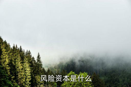  風(fēng)險(xiǎn)資本是什么