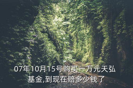 股票基金收益計(jì)算器,2022年股票基金平均收益