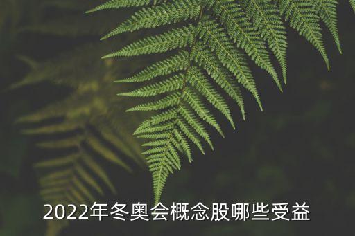 2022年冬奧會(huì)概念股哪些受益