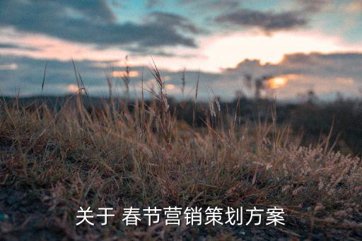 關(guān)于 春節(jié)營(yíng)銷策劃方案