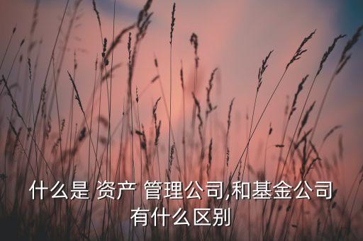 什么是 資產(chǎn) 管理公司,和基金公司有什么區(qū)別