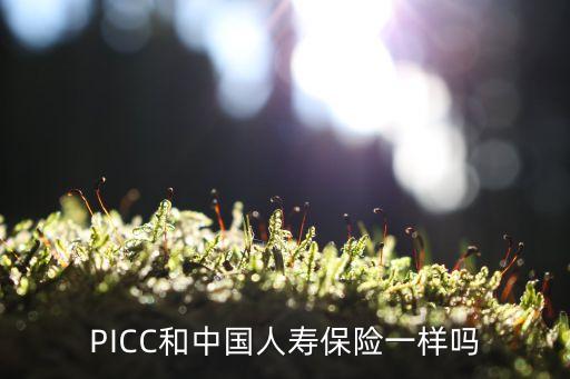 PICC和中國人壽保險(xiǎn)一樣嗎