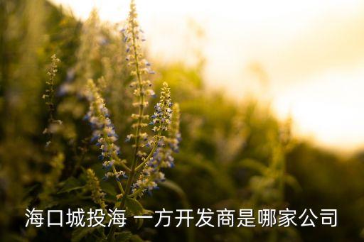 ?？诔峭逗?一方開發(fā)商是哪家公司