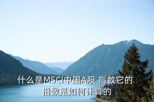 什么是MSCI中國A股 指數(shù)它的 指數(shù)是如何計(jì)算的