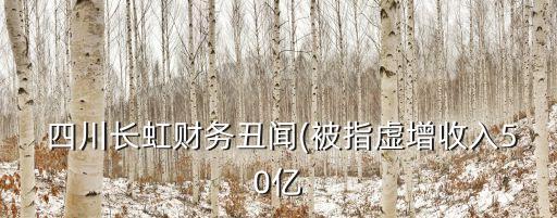  四川長虹財(cái)務(wù)丑聞(被指虛增收入50億