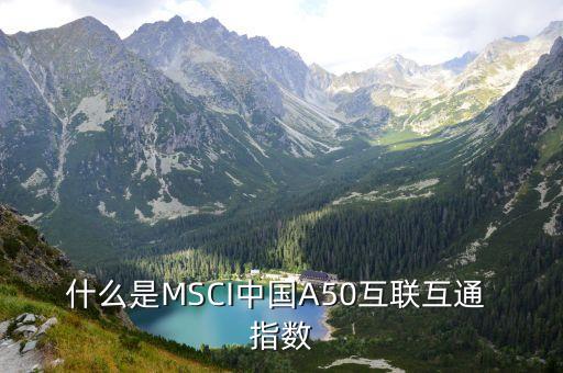 msci中國指數(shù)是什么意思,股票納入msci是好是壞