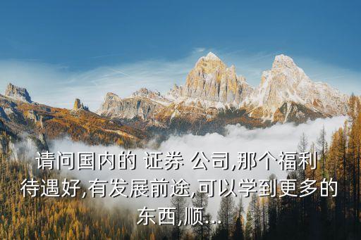 請(qǐng)問(wèn)國(guó)內(nèi)的 證券 公司,那個(gè)福利 待遇好,有發(fā)展前途,可以學(xué)到更多的東西,順...