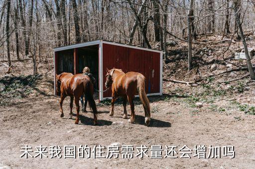 未來我國的住房需求量還會(huì)增加嗎