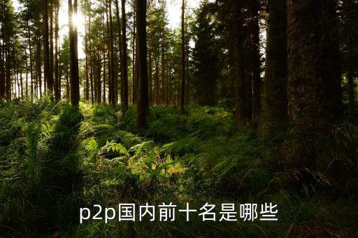 p2p國內(nèi)前十名是哪些