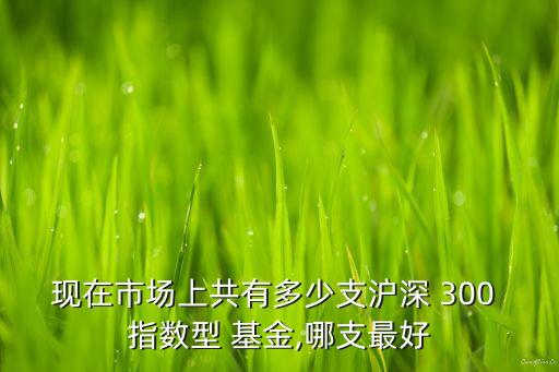 現在市場上共有多少支滬深 300 指數型 基金,哪支最好