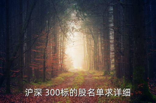 滬深300指數(shù)股票有那些