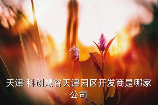 天津 科創(chuàng)慧谷天津園區(qū)開發(fā)商是哪家公司