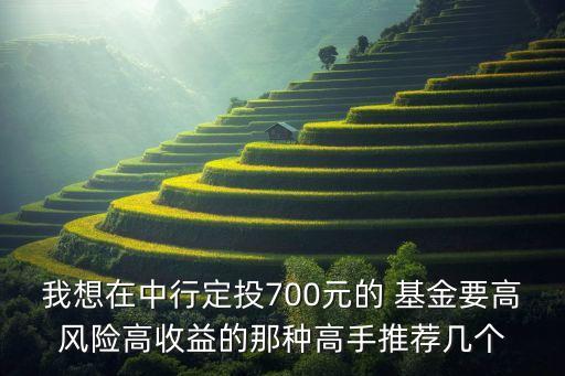 我想在中行定投700元的 基金要高風險高收益的那種高手推薦幾個