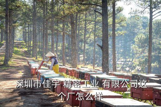  深圳市佳宇 精密工業(yè) 有限公司這個(gè)廠怎么樣