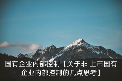 國有企業(yè)內(nèi)部控制【關(guān)于非 上市國有企業(yè)內(nèi)部控制的幾點思考】