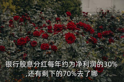 銀行股息分紅每年約為凈利潤(rùn)的30%,還有剩下的70%去了哪