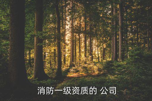  消防一級(jí)資質(zhì)的 公司