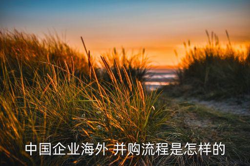 中國(guó)企業(yè)海外 并購(gòu)流程是怎樣的