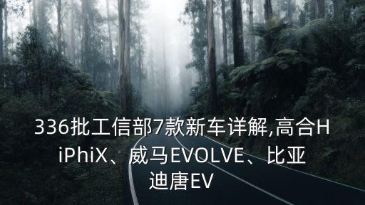 336批工信部7款新車詳解,高合HiPhiX、威馬EVOLVE、比亞迪唐EV