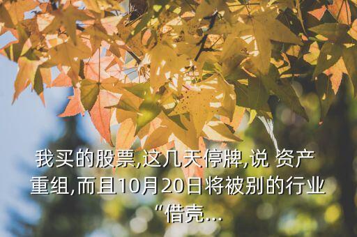 我買(mǎi)的股票,這幾天停牌,說(shuō) 資產(chǎn) 重組,而且10月20日將被別的行業(yè)“借殼...