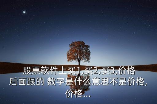  股票軟件上買1,買2,買3,價格后面跟的 數(shù)字是什么意思不是價格,價格...