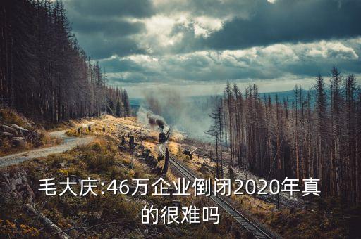 毛大慶:46萬企業(yè)倒閉2020年真的很難嗎