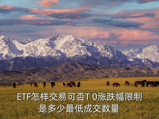 ETF怎樣交易可否T 0漲跌幅限制是多少最低成交數(shù)量