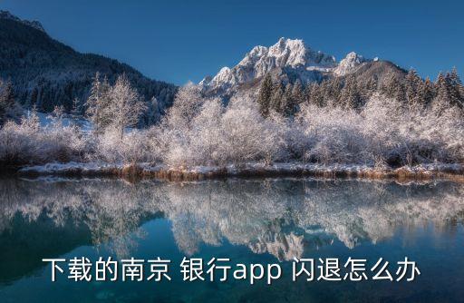 下載的南京 銀行app 閃退怎么辦