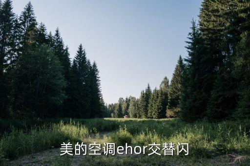 美的空調(diào)ehor交替閃