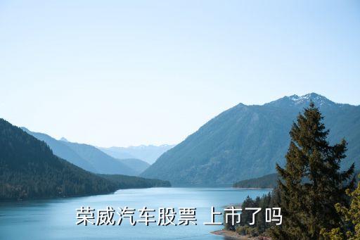 上海沃迪上市了嗎