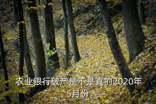  農(nóng)業(yè)銀行破產(chǎn)是不是真的2020年5月份