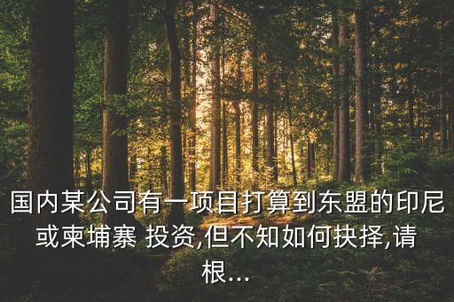 國內(nèi)某公司有一項目打算到東盟的印尼或柬埔寨 投資,但不知如何抉擇,請根...