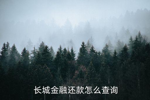  長城金融還款怎么查詢