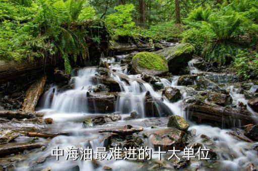  中海油最難進的十大單位