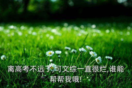 離高考不遠(yuǎn)了,可文綜一直很爛,誰能幫幫我哦!