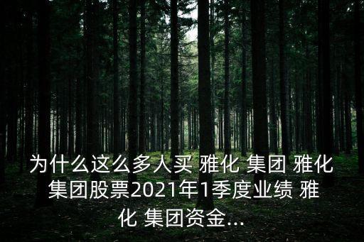 為什么這么多人買 雅化 集團 雅化 集團股票2021年1季度業(yè)績 雅化 集團資金...