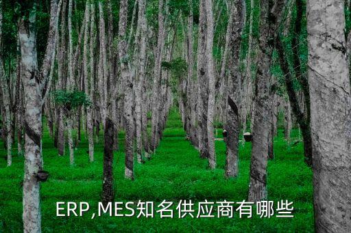 ERP,MES知名供應(yīng)商有哪些