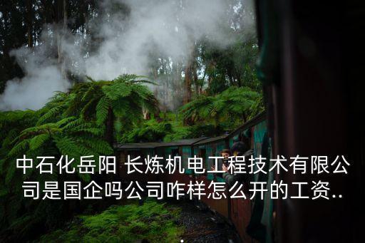 中石化岳陽 長煉機電工程技術有限公司是國企嗎公司咋樣怎么開的工資...