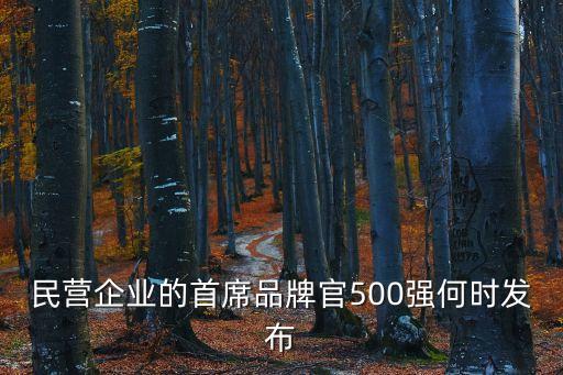 民營企業(yè)的首席品牌官500強何時發(fā)布