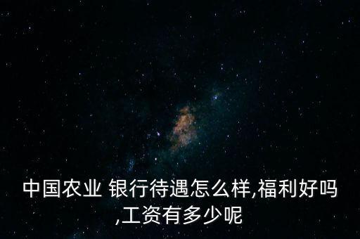 中國農業(yè) 銀行待遇怎么樣,福利好嗎,工資有多少呢