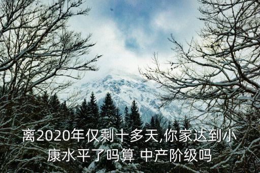 離2020年僅剩十多天,你家達(dá)到小康水平了嗎算 中產(chǎn)階級(jí)嗎